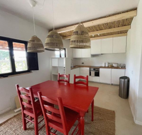 Casa Mimosa - Algarve